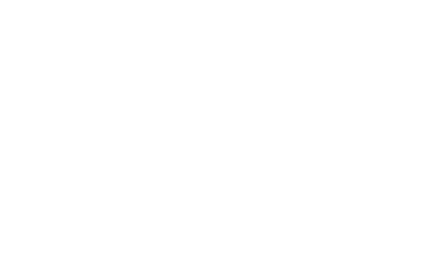Logo Aditinet Light