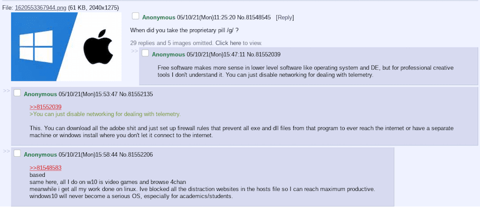 Figure 5: Sample post from /g/ sub-board. Source: endchan Tor service